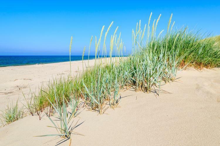 Luxury Apartament B 203 Polanki Park Basen&Spa Kołobrzeg Eksteriør billede
